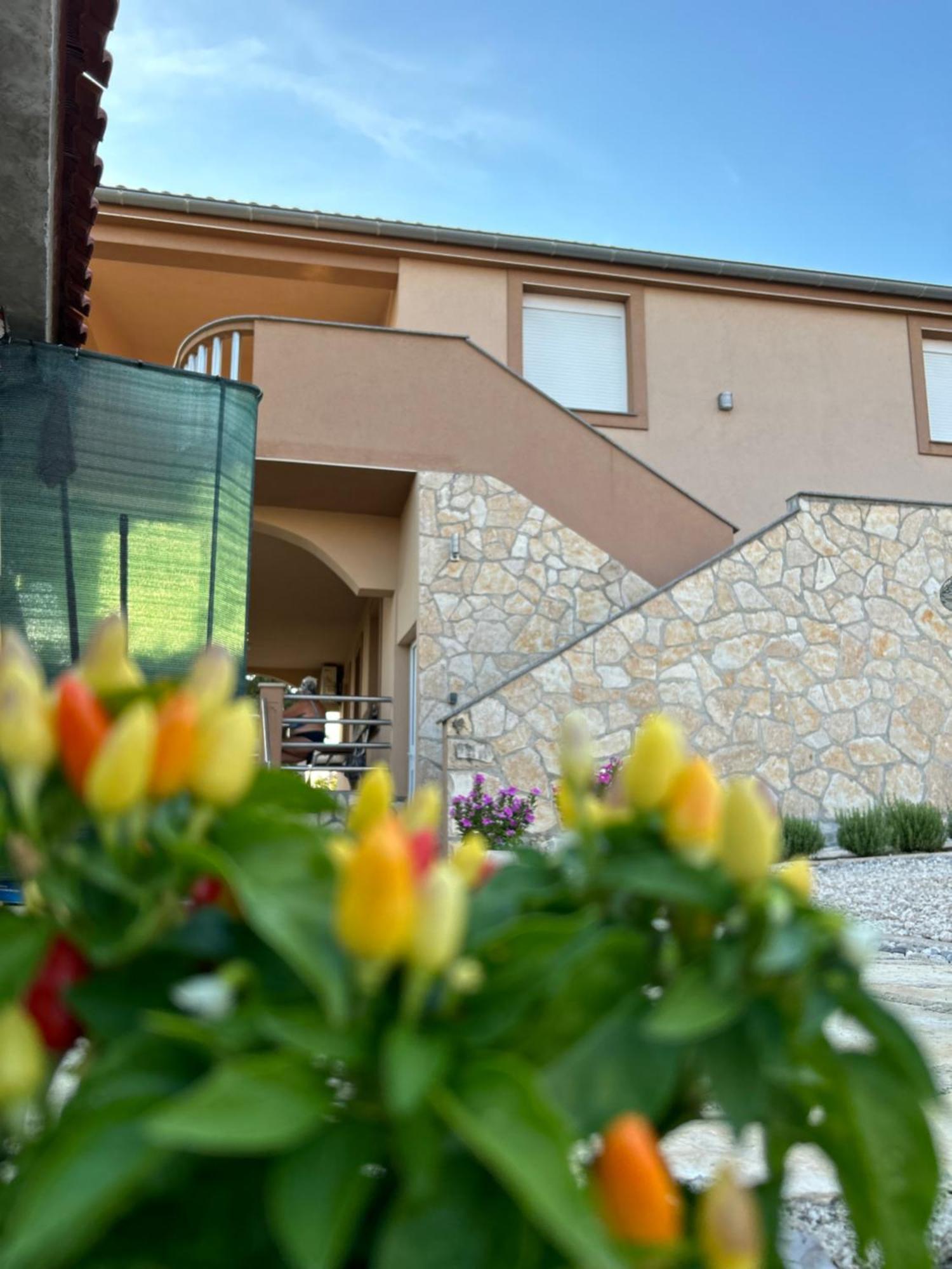Danisacroatia Apartment Maslenica